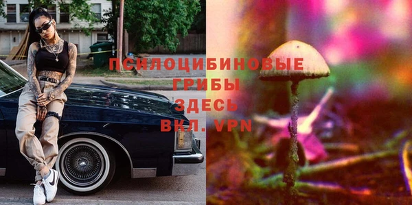ECSTASY Алексеевка
