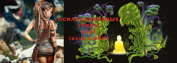 ECSTASY Алексеевка