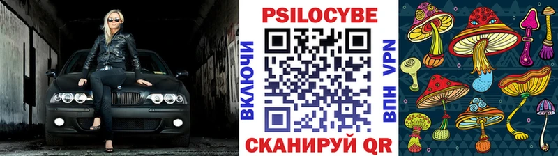 Галлюциногенные грибы Psilocybe  Красноуфимск 